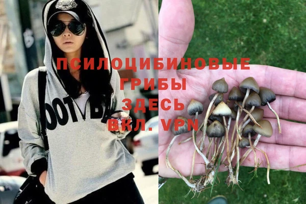 прущие грибы Алексеевка