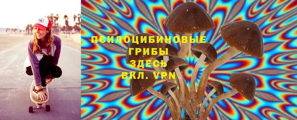 прущие грибы Алексеевка