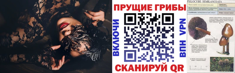 Псилоцибиновые грибы мухоморы Аргун