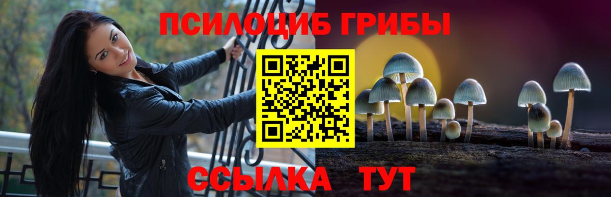 Псилоцибиновые грибы MAGIC MUSHROOMS Аргун