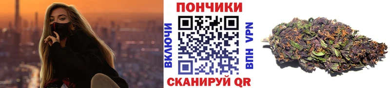 купить наркотики цена  Аргун  Конопля семена 